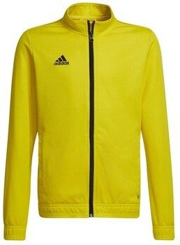 Mikiny adidas  Entrada 22