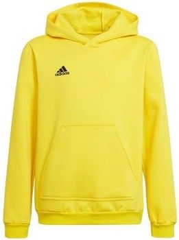 Mikiny adidas  Entrada 22