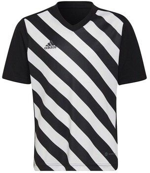 Tričká s krátkym rukávom adidas  Entrada 22 Graphic Jersey