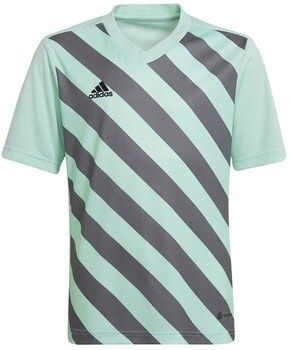 Tričká s krátkym rukávom adidas  Entrada 22 Graphic Jersey