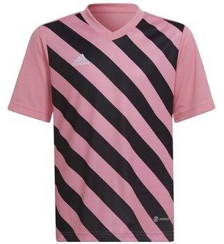 Tričká s krátkym rukávom adidas  Entrada 22