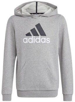 Mikiny adidas  Big Logo 2 Hoody JR