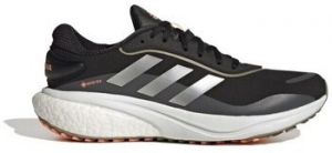 Bežecká a trailová obuv adidas  Supernova Gtx
