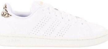 Nízke tenisky adidas  Advantage