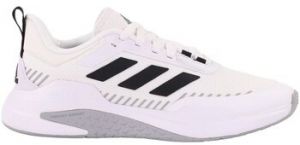 Nízke tenisky adidas  Trainer V