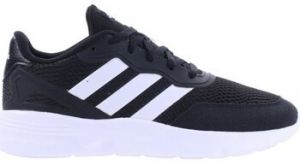Nízke tenisky adidas  Nebzed K