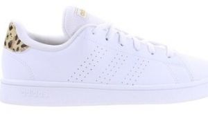 Nízke tenisky adidas  Advantage Base