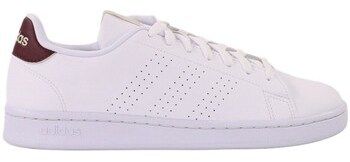 Nízke tenisky adidas  Advantage