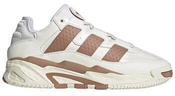 Nízke tenisky adidas  Niteball