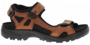 Turistická obuv Ecco  Offroad Sierra