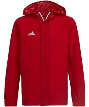 Mikiny adidas  Entrada 22