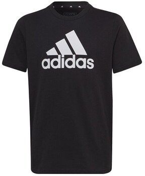 Tričká s krátkym rukávom adidas  Essentials Big Logo Tee Girls JR