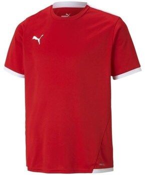 Tričká s krátkym rukávom Puma  JR Teamliga Jersey