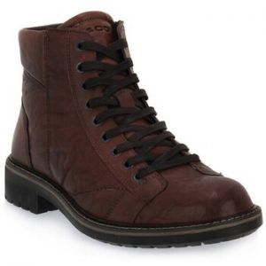 Členkové tenisky IgI&CO  Legno