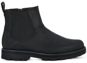 Členkové tenisky Timberland  Courma Kid