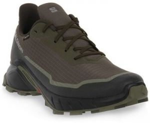 Nízke tenisky Salomon  Alphacross 5 Gtx