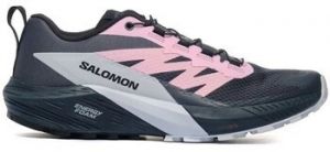 Bežecká a trailová obuv Salomon  Sense Ride 5 W