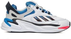 Nízke tenisky adidas  Ozmorph