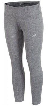 Legíny 4F  Fitness