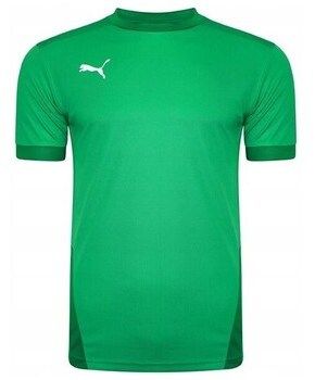 Tričká s krátkym rukávom Puma  Teamgoal 23 Jersey