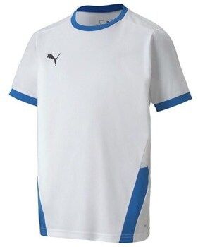 Tričká s krátkym rukávom Puma  Teamgoal 23 Jersey