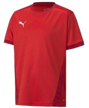 Tričká s krátkym rukávom Puma  Teamgoal 23 Jersey