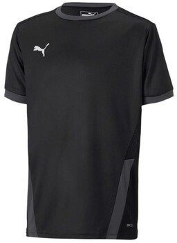Tričká s krátkym rukávom Puma  Teamgoal 23 Jersey