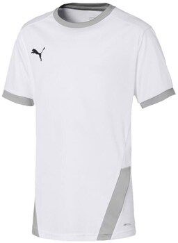 Tričká s krátkym rukávom Puma  Teamgoal 23 Jersey