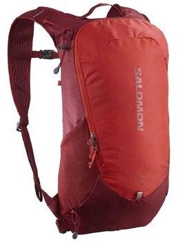 Ruksaky a batohy Salomon  Trailblazer 10