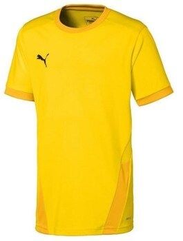 Tričká s krátkym rukávom Puma  Teamgoal 23 Jersey