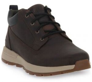 Polokozačky Timberland  Killinghton Park