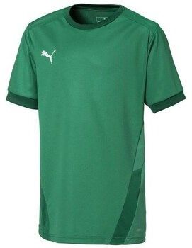 Tričká s krátkym rukávom Puma  Teamgoal 23 Jersey