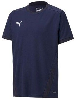 Tričká s krátkym rukávom Puma  Teamgoal 23 Jersey