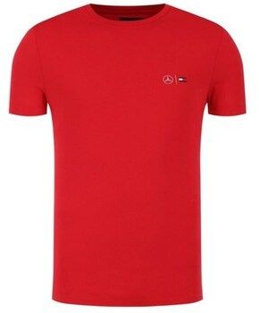 Tričká s krátkym rukávom Tommy Hilfiger  TT0TT07092