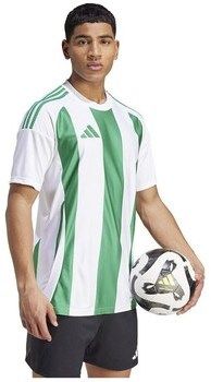 Tričká s krátkym rukávom adidas  Striped 24 Jsy