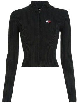 Svetre Tommy Hilfiger  DW0DW17243BDS