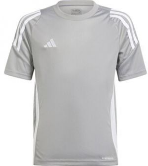 Tričká s krátkym rukávom adidas  IS1031