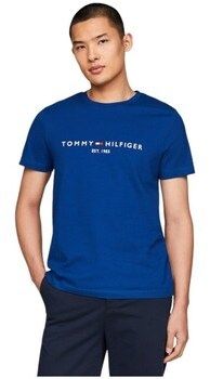 Tričká s krátkym rukávom Tommy Hilfiger  MW0MW11797C5J