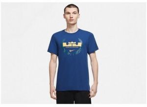 Tričká s krátkym rukávom Nike  Lebron James Logo Dri-fit