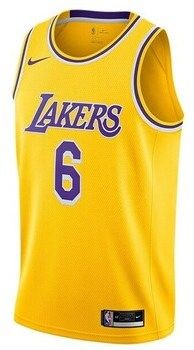 Tričká s krátkym rukávom Nike  Nba Los Angeles Lakers Lebron James Swingman
