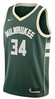 Tričká s krátkym rukávom Nike  Nba Milwaukee Bucks Giannis Antetokounmpo Icon Edition