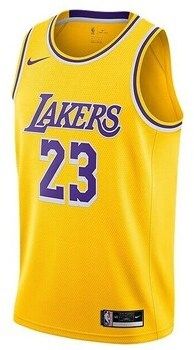 Tričká s krátkym rukávom Nike  Nba Los Angeles Lakers Lebron James Icon Edition