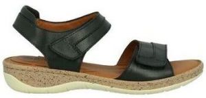Sandále Westland  Chaussures 74R5052002
