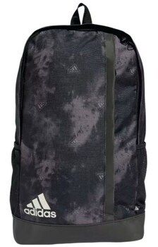 Ruksaky a batohy adidas  Linear Graphic