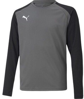 Mikiny Puma  Teampacer Gk