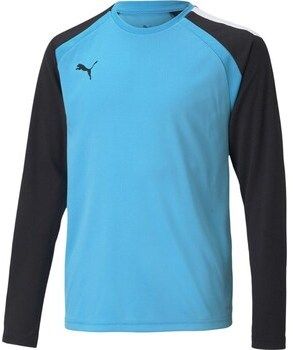 Mikiny Puma  Teampacer Gk