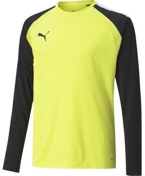 Mikiny Puma  Teampacer Gk