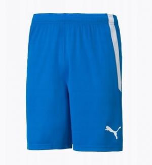 Nohavice 7/8 a 3/4 Puma  Spodenki Męskie Teamliga Niebieskie