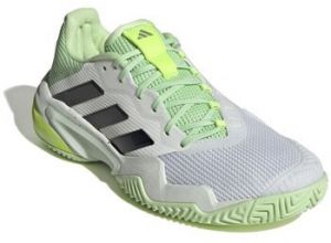 Bežecká a trailová obuv adidas  Barricade 13