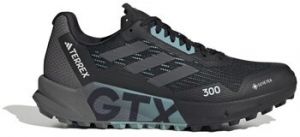 Bežecká a trailová obuv adidas  Terrex Agravic Flow 2.0 Gtx